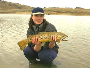 Poolburne Brown 63cm